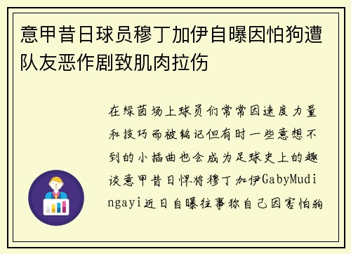 意甲昔日球员穆丁加伊自曝因怕狗遭队友恶作剧致肌肉拉伤